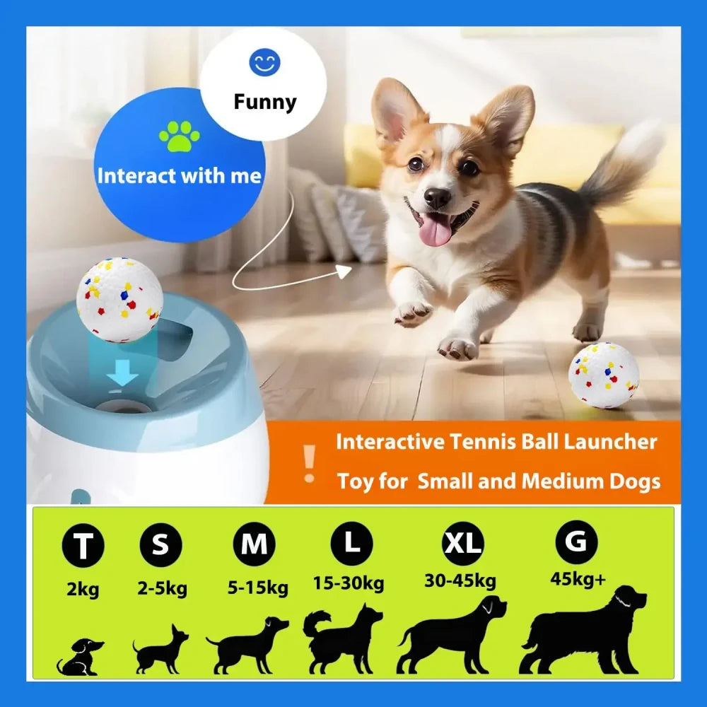 Automatic Dog Ball Launcher — Hands-Free Indoor Fetch for Happy Dogs