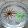 Soft Silicone Sea Urchin Fishing Lure