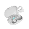 Bluetooth Smart Translation Earbuds